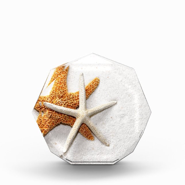 Starfish Acrylic Octagon Awards (Front)