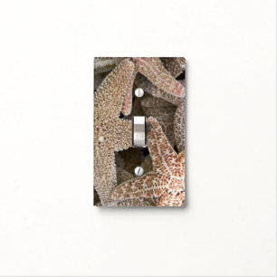 Starfish all around light switch cover