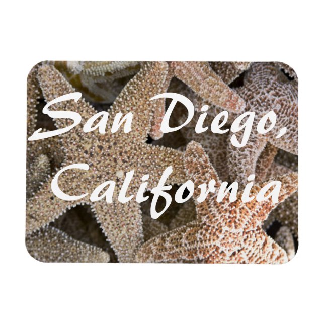 Starfish all around , San Diego , California Magnet (Horizontal)
