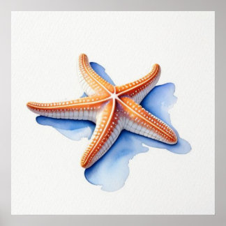 Starfish and Blue Silhouette Poster