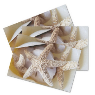 Starfish and Sand Dollars Creamy White Coastal Tissue Paper