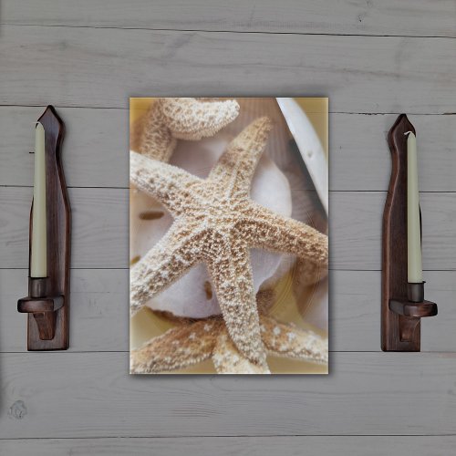 Starfish and Sand Dollars Elegant Acrylic Print