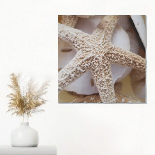 Starfish and Sand Dollars Elegant Faux Canvas Print