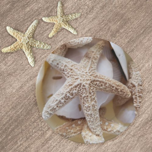 Starfish and Sand Dollars Elegant Paper Plates