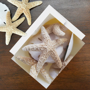 Starfish and Sand Dollars Seashell Photographic Note Card