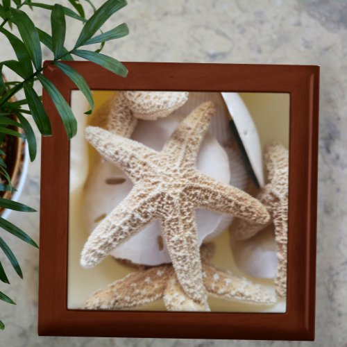 Starfish and Sand Dollars wooden Gift Box