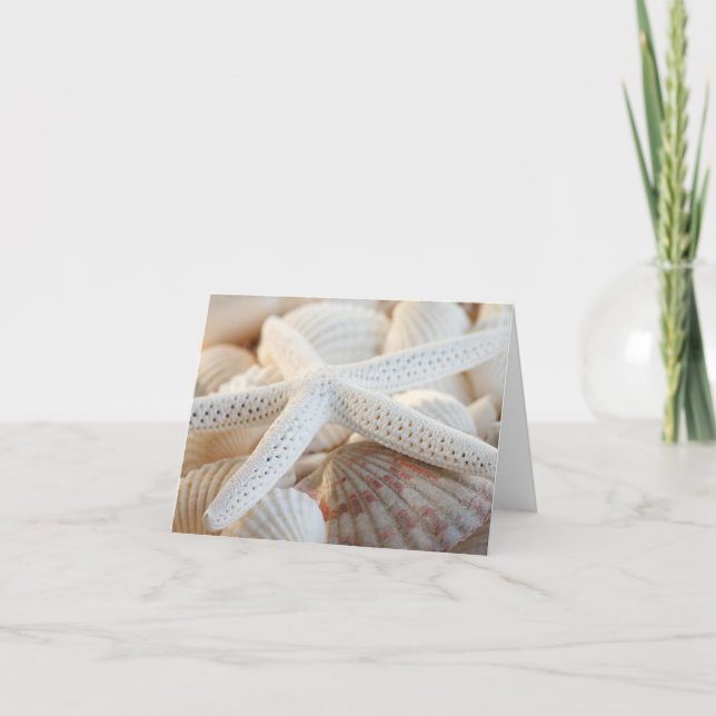 STARFISH AND SEASHELLS NOTECARD (Front)