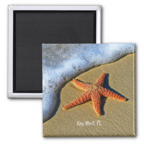 Starfish at the beach in Key West Florida Magnet