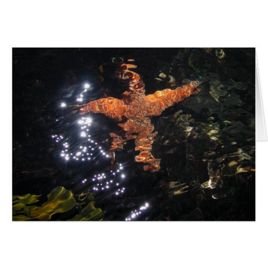 Starfish at Tidepool Cards (Front Horizontal)