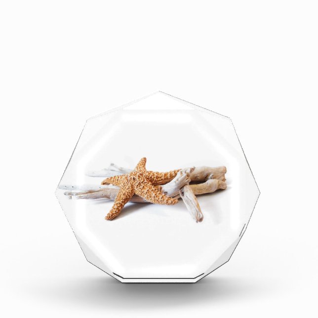 starfish award (Front)