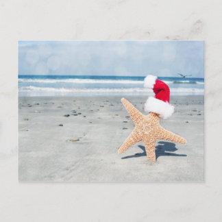 Starfish Beach Christmas Holiday Postcard