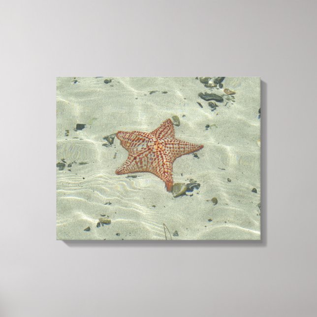 Starfish Canvas Print (Front)
