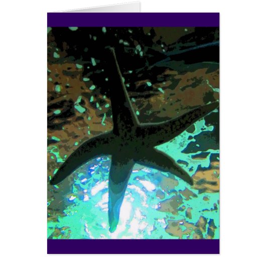 Starfish CB Cards (Front)