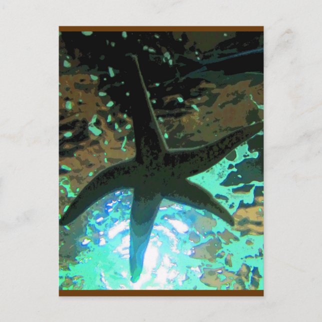 Starfish CB Postcard (Front)