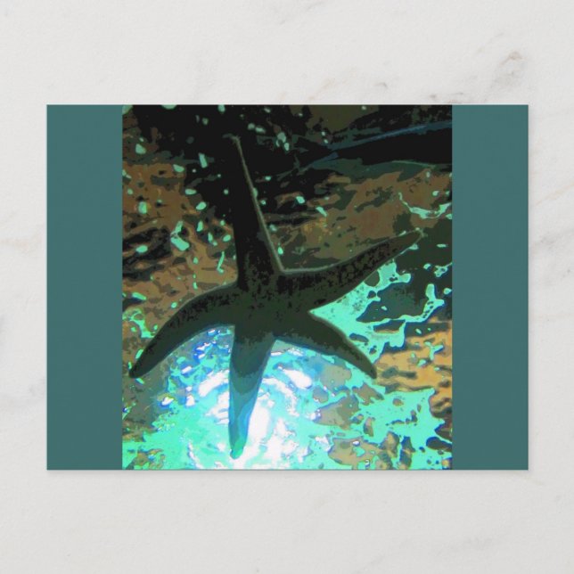 Starfish CB Postcard (Front)