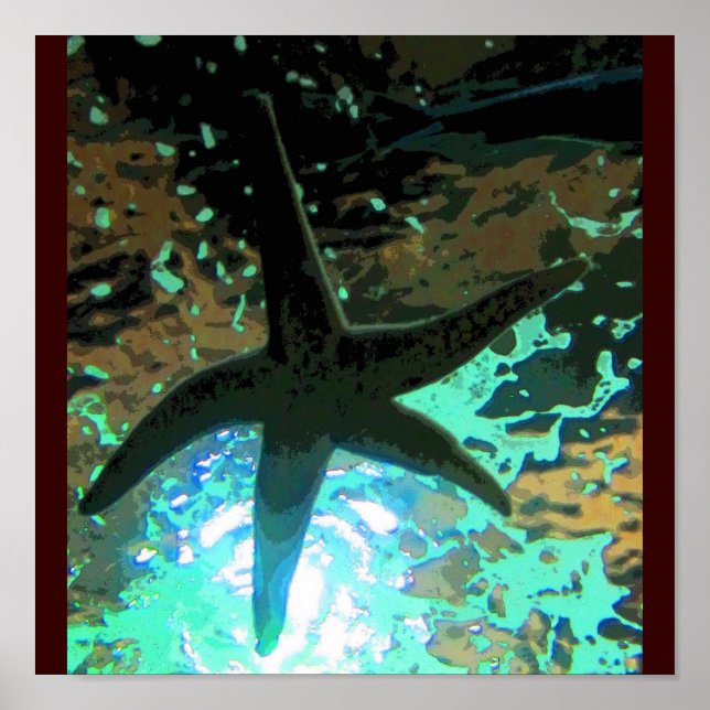 Starfish CB Poster (Front)