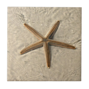 Starfish Ceramic Tile Trivet