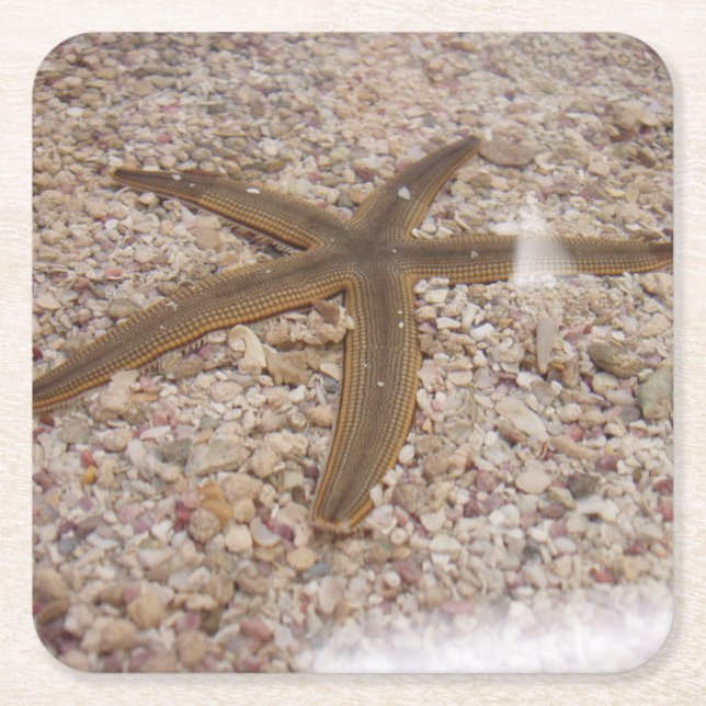 Starfish Coaster Set (Front)