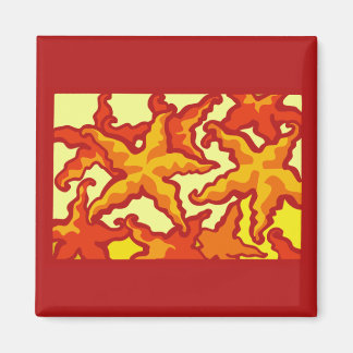 Starfish Composition Magnet
