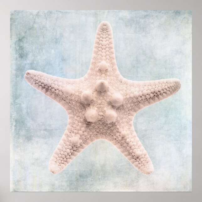 Starfish Distressed Coastal Blue Cream Watercolor Poster (Front)