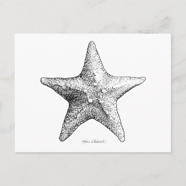 Starfish | ClipArt ETC
