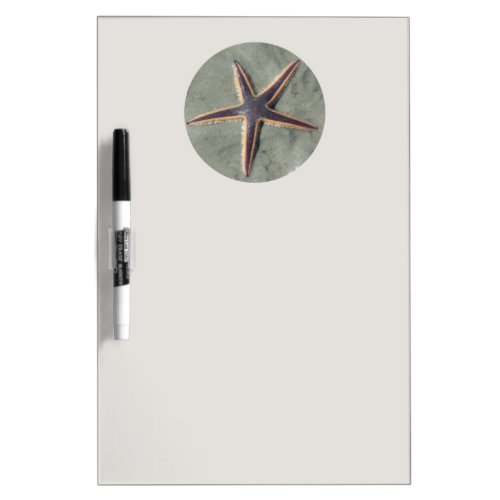 Starfish Dry Erase Board