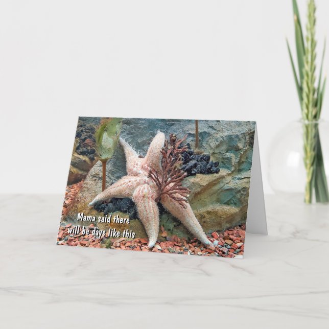 Starfish Humor for Thinking Of You Card (Front)