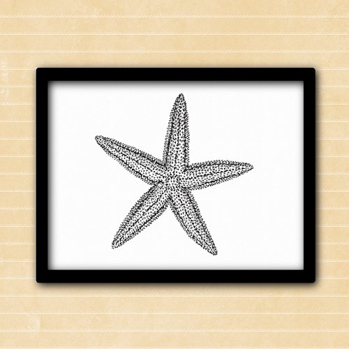 Starfish illustration in black and white poster