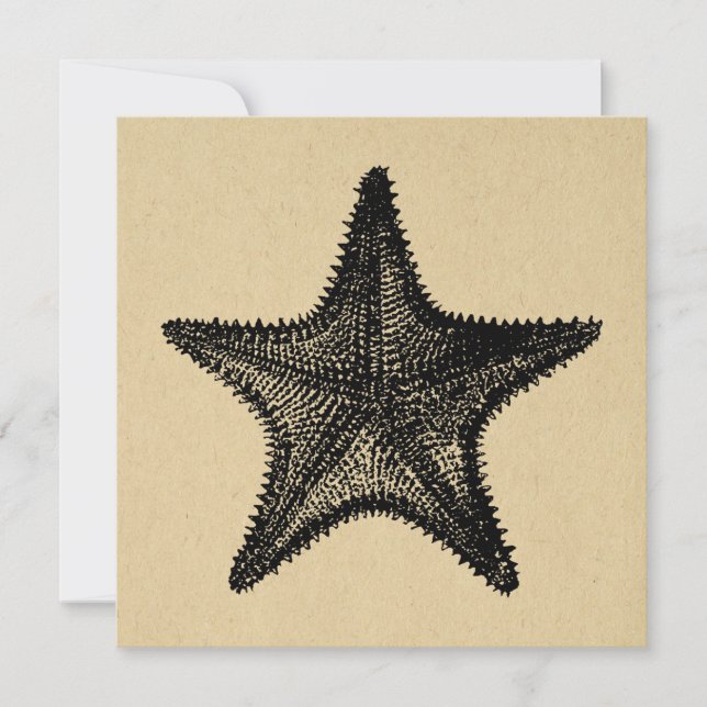 Starfish Illustration Ocean Art Vintage Starfish Note Card (Front)