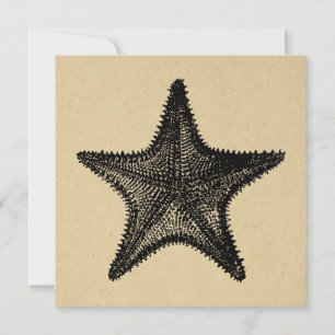 Starfish Illustration Ocean Art Vintage Starfish Note Card