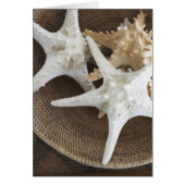 Starfish in a basket (Front)