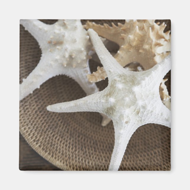 Starfish in a basket magnet (Front)