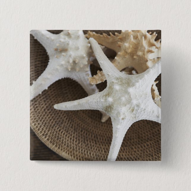 Starfish in a basket pinback button (Front)