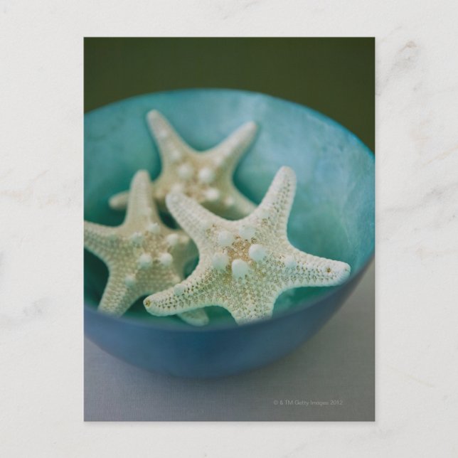 Starfish in bowl postcard (Front)