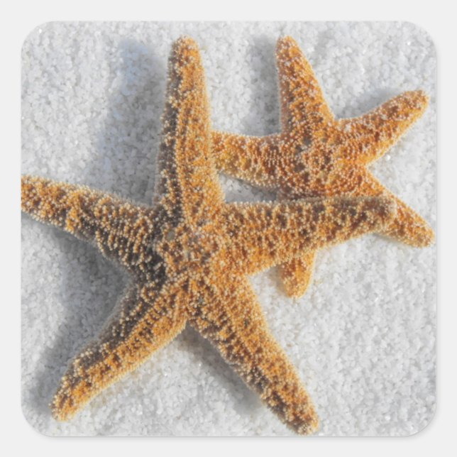 Starfish in Sand Beach Wedding Square Sticker (Front)