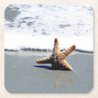 Starfish in the Surf