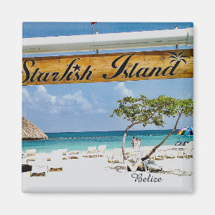 Starfish Island Belize Magnet