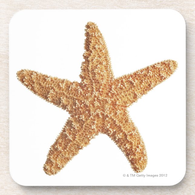 Starfish isolated on white beverage coaster (Front)