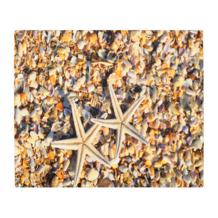Starfish Lover Metal Print