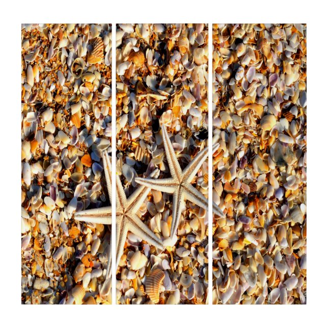 Starfish Lover Triptych (Front)