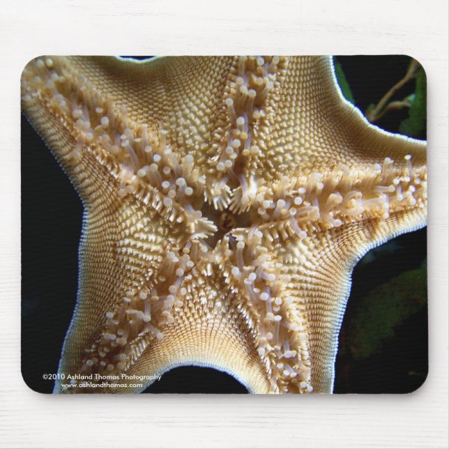 Starfish Mousepad (Front)
