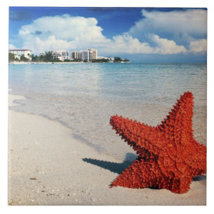 Starfish, Nassau, Bahamas Ceramic Tile