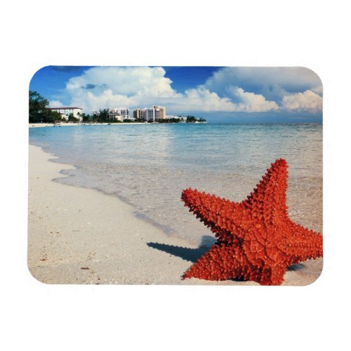 Starfish Nassau Bahamas Magnet