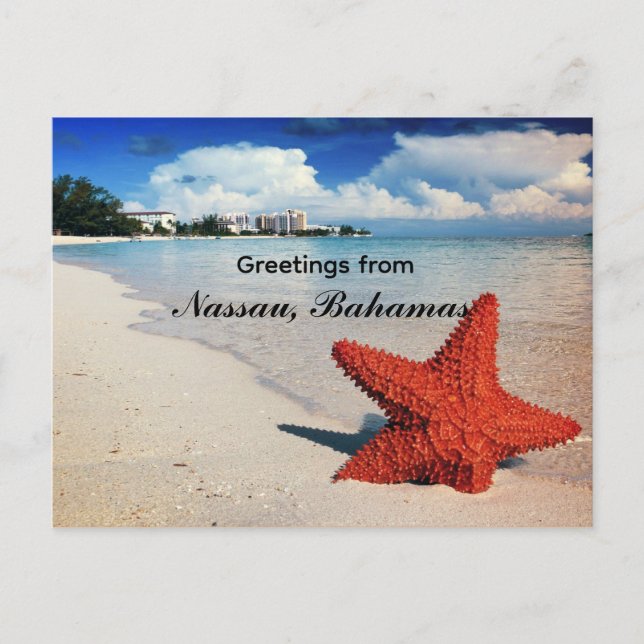 Starfish, Nassau, Bahamas Postcard (Front)