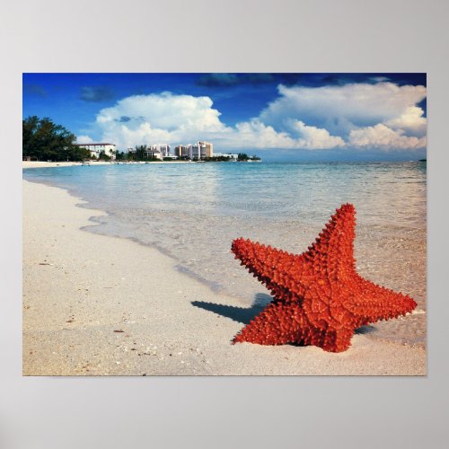 Starfish Nassau Bahamas Poster