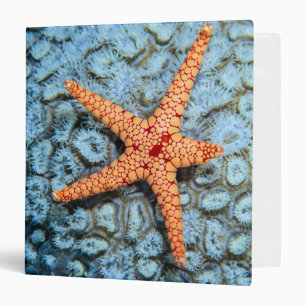 Starfish On A Coral With Polips Binder