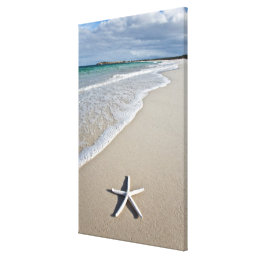 Starfish On A Remote Beach Canvas Print