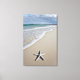 Starfish On A Remote Beach Canvas Print