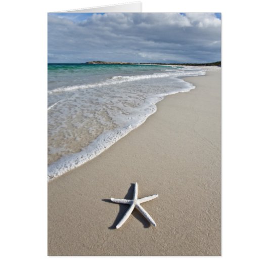 Starfish On A Remote Beach Cards (Front)