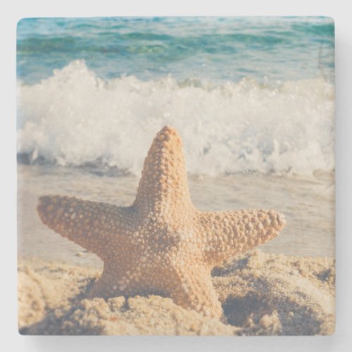 Starfish on a Sandy Beach Photograph Stone Coaster